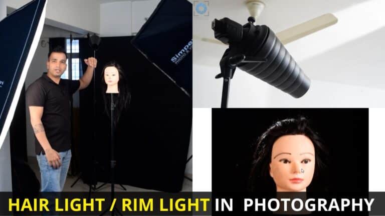 What is Hair Light / Rim Light / Back Light in Studio Photography?