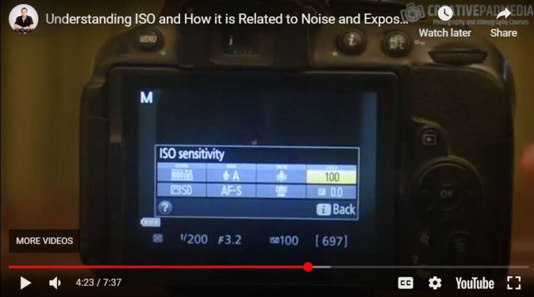 What is the Purpose of ISO in Photography? – Easy Explanation