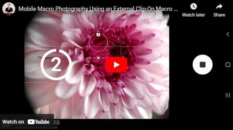 How to do Macro Photography Using a Mobile Phone? – Beginners Tutorial